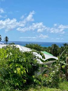 - une vue sur une maison avec l'océan en arrière-plan dans l'établissement Vanille et Vahiné FR2PF8AL, à Grand-Bourg
