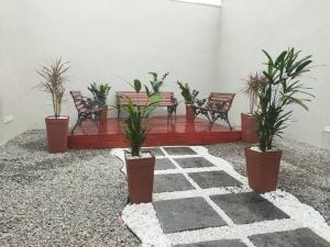 Kitnet 1 - próximo ao centro de Jacareí في جاكاري: مجموعة من الكراسي والنباتات في الغرفة