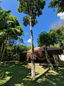 Puutarhaa majoituspaikan Mini Casa com Jacuzzi e Piscina ulkopuolella