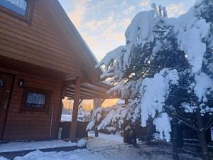 een boom bedekt met sneeuw naast een hut bij Kaszuby wczasy u Danusi sauna i bania in Lipusz