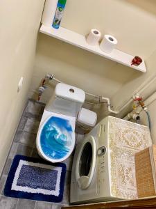 a small bathroom with a toilet in a small room at Butas S. Daukanto gatvėje in Telšiai