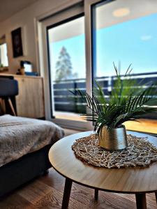 eine Topfpflanze auf einem Tisch in einem Raum in der Unterkunft Lions Place Premium Apartments EXECUTIVE Luxus PENTHOUSE inklusive SPA in Heidenheim