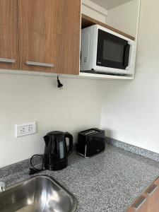 a kitchen counter with a sink and a microwave at Fitz Roy Hoster&iacute;a de Monta&ntilde;a - El Chalt&eacute;n in El Chalten
