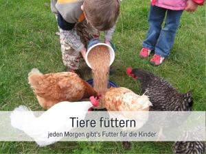 Um rapazinho a olhar para umas galinhas na relva. em Bio Ferienhof Wichtelweide - Ferienhaus Lichtblick em Fehmarn