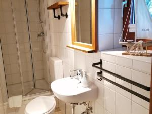 a bathroom with a sink and a toilet and a shower at Reetmeer Apartments in Boiensdorf