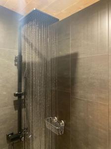 a shower with a shower head with a shower curtain at La Sousta de l'Oule - Panorama en Drôme Provençale in La Motte-Chalançon