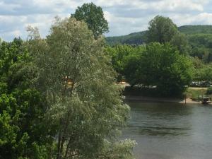 uma árvore em frente a um rio com árvores em La Treille em Vitrac