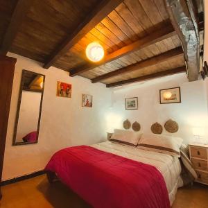 1 dormitorio con 1 cama grande con manta roja en Casa das Peleteiro Ribeira Sacra en Ourense