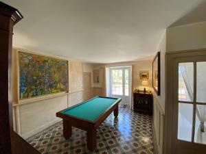 una mesa de billar en una habitación con una pintura en Le Mas d'Henriette, en Leyritz-Moncassin