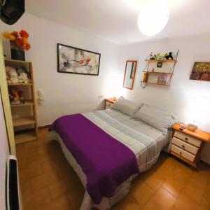 1 dormitorio con 1 cama grande con sábanas moradas en Casa das Peleteiro Ribeira Sacra, en Ourense