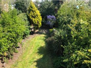 una vista aérea de un jardín con plantas y árboles en Cosy tranquil semi-detach house, en Beckenham