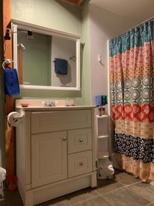 La salle de bains est pourvue d'un lavabo et d'un rideau de douche. dans l'établissement Casita at St Francis Hatch NM, à Hatch
