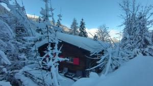 una cabaña de madera cubierta de nieve en el bosque en Petit chalet rustique et bucolique en Bovernier