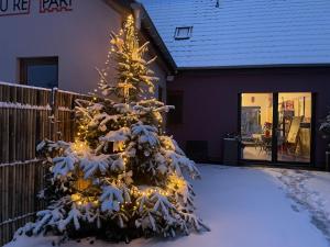 Un árbol de Navidad cubierto de nieve con luces en Le Refuge du Rempart, en Dambach-la-Ville