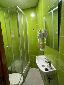 baño verde con lavabo y ducha en Hostal Flat55Madrid, en Madrid