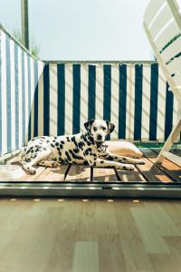 a dalmatian dog laying on a beach chair at Hundefreundliche Ferienwohnungen Brombachsee in Enderndorf