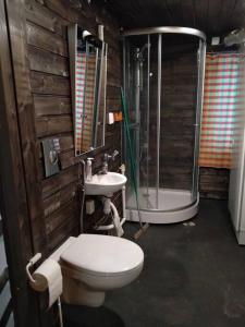 a bathroom with a toilet and a shower and a sink at Akolampi cottage in Impiö +30 photos