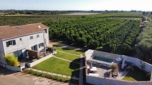een luchtzicht op een huis en een wijngaard bij L Arancera - Sant Anghjulu - Appartement cosy in Penta-di-Casinca