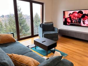 コパオニクにあるGlecer A07のソファとテレビのあるリビングルーム