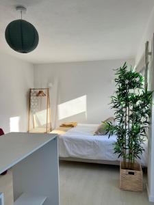 a bedroom with a bed and a potted plant at Maria Studio in Cascais