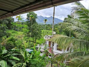 a house in the jungle with mountains in the background at Homely Home stay in Kalpetta