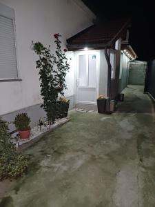 ピロトにあるApartman “Sanja”の白い扉と植物のガレージ