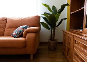 a brown chair with a pillow sitting next to a plant at El Refugio de Eliseo in Haro