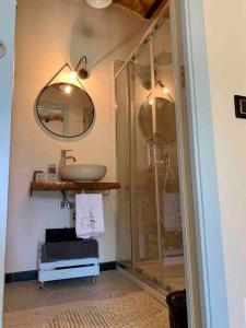 a bathroom with a shower and a sink and a mirror at Podere 239 - Appartamento La Stalla in Marsiliana