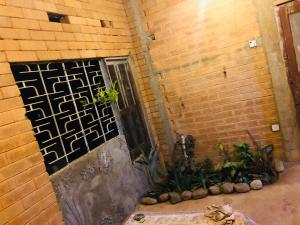 a brick wall with a door and some plants at Samara Nature Paradise in Kalutara +17 photos
