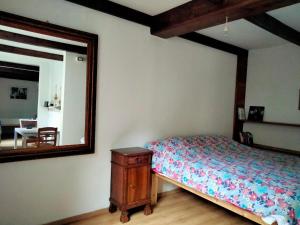 a bedroom with a bed and a mirror at La stufa rossa in Sondrio