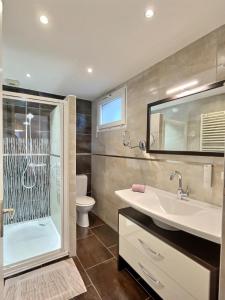 bagno con doccia, lavandino e servizi igienici di ''Les Platanes''de Miss.K Conciergerie a Gorrevod