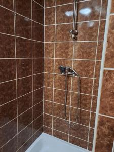 a bathroom with a shower with brown tiles at Izba Vladimír Penzión pod Smrekom in Martin +15 photos