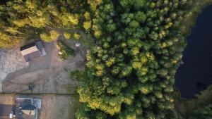 une vue sur une forêt avec des arbres et de l'eau dans l'établissement Villa intill naturreservat, à Ryssby