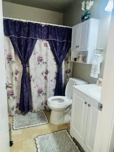 a bathroom with a toilet and a shower curtain at Wonderful Private Queen Bedroom in Santa Clara