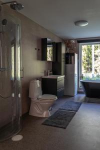 La salle de bains est pourvue de toilettes, d'un lavabo et d'une douche. dans l'établissement Villa intill naturreservat, à Ryssby