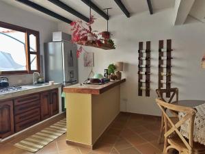 Casa Oasis - Centro histórico ( Pocos pasos de la plaza principal) في فيلا دي ليفا: مطبخ مع سطح عمل وثلاجة +15 صورة