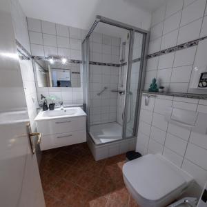 uma casa de banho com um chuveiro, um WC e um lavatório. em Fehmarn-OstseeferienMöwennest 205 em Burgtiefe auf Fehmarn 