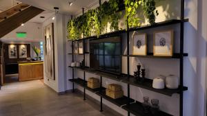 una habitación con estanterías con plantas en la pared en THE HOTEL en Córdoba