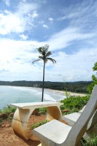 um banco sentado na praia com uma palmeira em Talalla Leisure em Talalla South