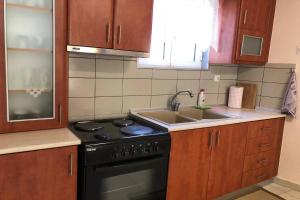 Kuchyň nebo kuchyňský kout v ubytování House GabriDora
