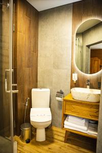 a bathroom with a toilet and a sink and a mirror at Zatyshok nad Prutom in Bukovel