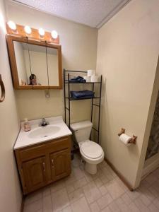 a bathroom with a toilet and a sink and a mirror at Comfy Apt near Guthrie RPH Sayre in Sayre