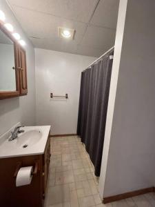 a bathroom with a sink and a shower curtain at Spacious Apt near Guthrie Packer in Sayre