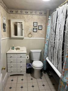 ビンガムトンにあるIntimate 1 Bedroom Apt by UHSの白いトイレと洗面台のあるバスルーム
