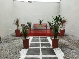 una panchina seduta in un cortile con piante in vaso di Kitnet 3 - próximo ao centro de Jacareí a Jacareí