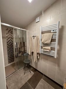 een badkamer met een douche, een kruk en handdoeken bij Le Gîte de la Maison Blanche in FlÃ©chin