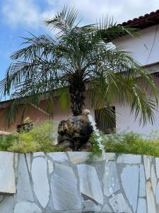 a palm tree sitting on top of a wall at Chalés Camburi in São Sebastião