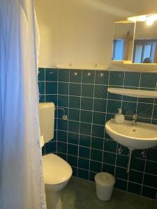 達默的住宿－Feriengarten Dahme W 18，绿色瓷砖浴室设有卫生间和水槽