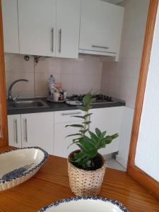een keuken met een tafel met een potplant erop bij amarilla terrace in Arona