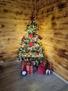 a christmas tree with presents under it in a room at Chalúpka Anit 